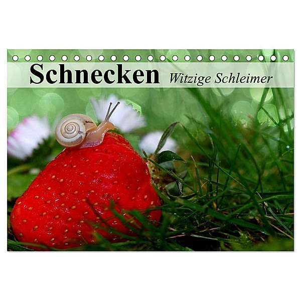 Schnecken. Witzige Schleimer (Tischkalender 2024 DIN A5 quer), CALVENDO Monatskalender, Elisabeth Stanzer