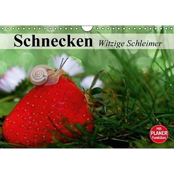 Schnecken. Witzige Schleimer (Wandkalender 2016 DIN A4 quer), Elisabeth Stanzer