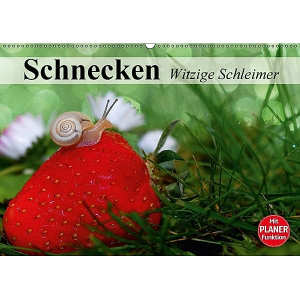 Schnecken. Witzige Schleimer (Wandkalender 2018 DIN A2 quer), Elisabeth Stanzer