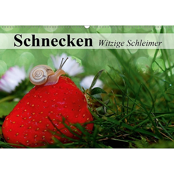 Schnecken. Witzige Schleimer (Wandkalender 2020 DIN A2 quer), Elisabeth Stanzer