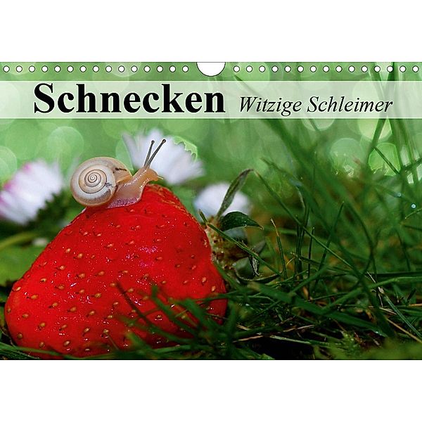 Schnecken. Witzige Schleimer (Wandkalender 2021 DIN A4 quer), Elisabeth Stanzer