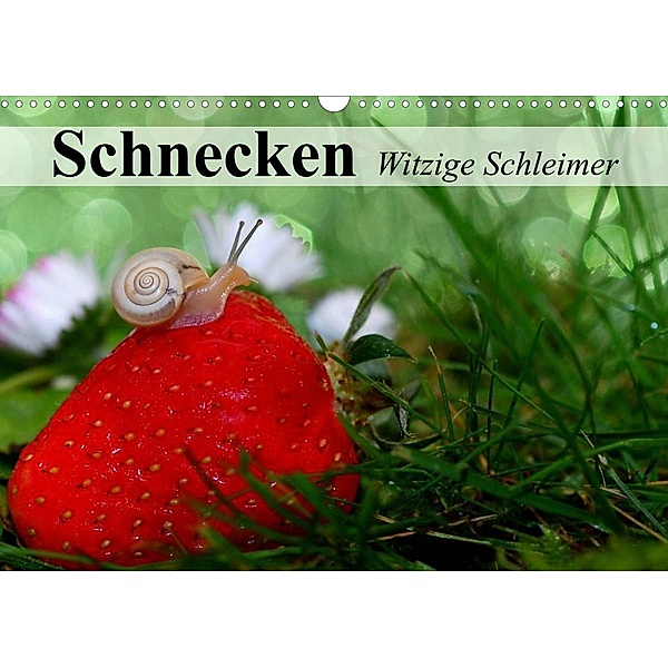 Schnecken. Witzige Schleimer (Wandkalender 2023 DIN A3 quer), Elisabeth Stanzer