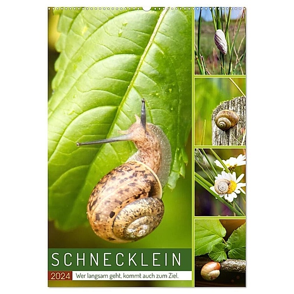Schnecklein (Wandkalender 2024 DIN A2 hoch), CALVENDO Monatskalender, Sabine Löwer