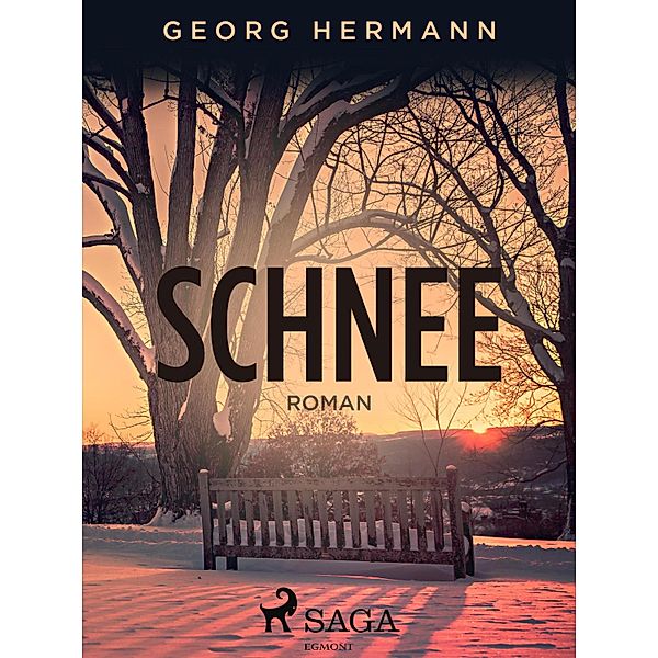 Schnee, Georg Hermann