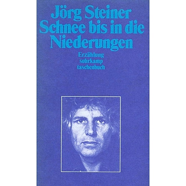 Schnee bis in die Niederungen, Jörg Steiner