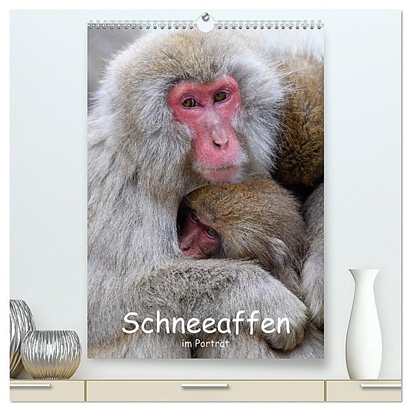 Schneeaffen im Portträt (hochwertiger Premium Wandkalender 2024 DIN A2 hoch), Kunstdruck in Hochglanz, Thorsten Jürs