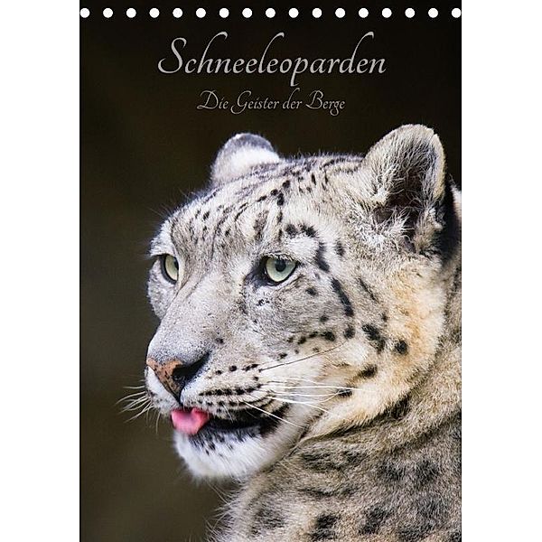 Schneeleoparden - Die Geister der Berge (Tischkalender 2017 DIN A5 hoch), Cloudtail the Snow Leopard