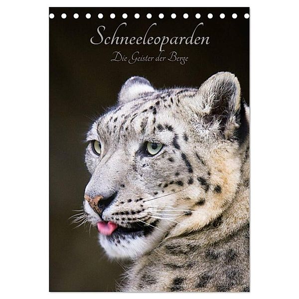 Schneeleoparden - Die Geister der Berge (Tischkalender 2024 DIN A5 hoch), CALVENDO Monatskalender, Cloudtail the Snow Leopard