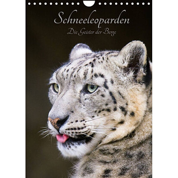 Schneeleoparden - Die Geister der Berge (Wandkalender 2022 DIN A4 hoch), Cloudtail the Snow Leopard