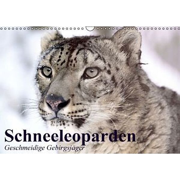 Schneeleoparden. Geschmeidige Gebirgsjäger (Wandkalender 2016 DIN A3 quer), Elisabeth Stanzer