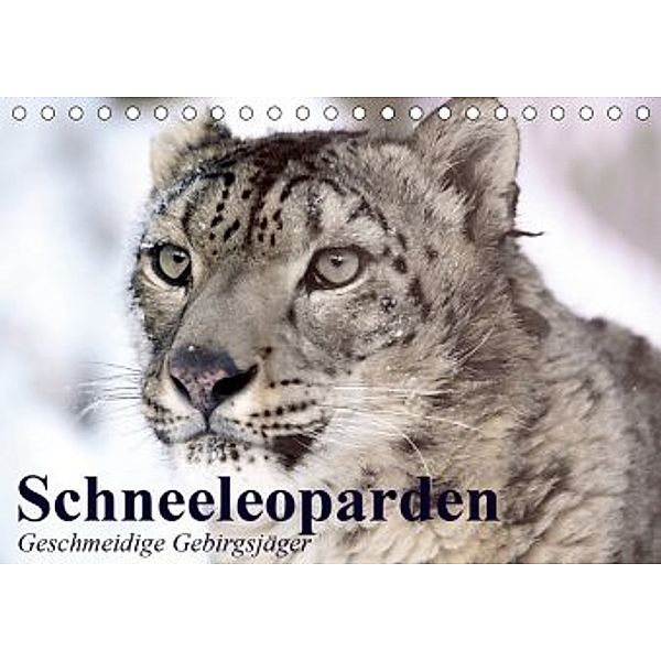 Schneeleoparden. Geschmeidige Gebirgsjäger (Tischkalender 2020 DIN A5 quer), Elisabeth Stanzer