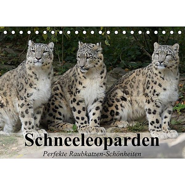 Schneeleoparden. Perfekte Raubkatzen-Schönheiten (Tischkalender 2023 DIN A5 quer), Elisabeth Stanzer
