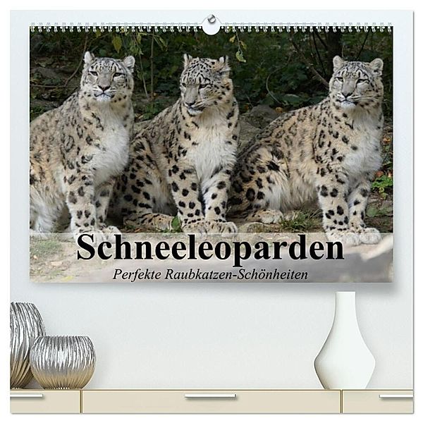 Schneeleoparden. Perfekte Raubkatzen-Schönheiten (hochwertiger Premium Wandkalender 2024 DIN A2 quer), Kunstdruck in Hochglanz, Elisabeth Stanzer