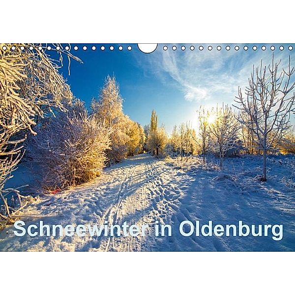 Schneewinter in Oldenburg (Wandkalender 2016 DIN A4 quer), Erwin Renken