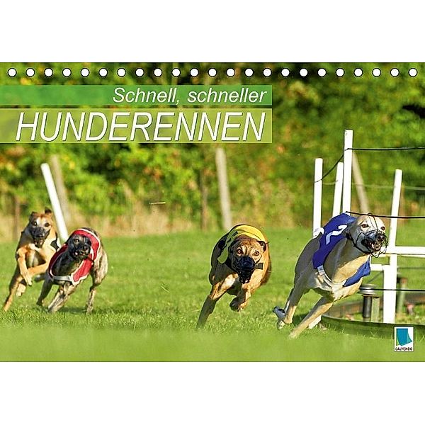 Schnell, schneller - Hunderennen (Tischkalender 2017 DIN A5 quer), k.A. CALVENDO