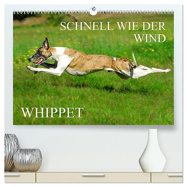 Schnell wie der Wind - Whippet (hochwertiger Premium Wandkalender 2024 DIN A2 quer), Kunstdruck in Hochglanz, Sigrid Starick