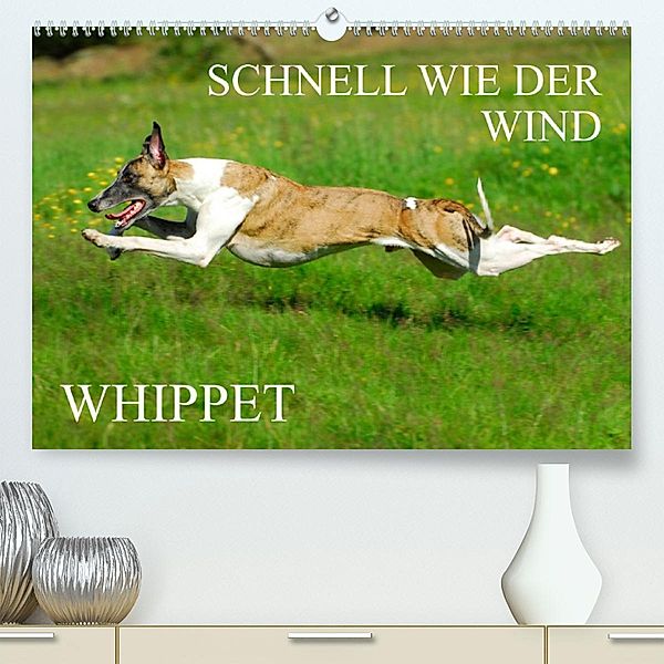 Schnell wie der Wind - Whippet (Premium, hochwertiger DIN A2 Wandkalender 2023, Kunstdruck in Hochglanz), Sigrid Starick