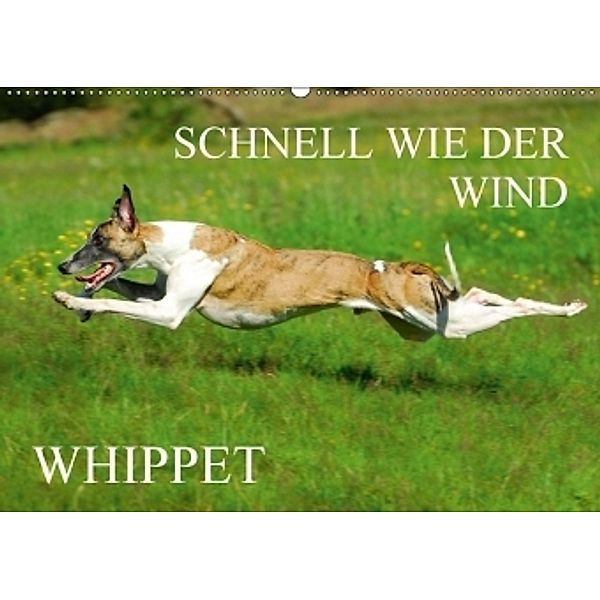 Schnell wie der Wind - Whippet (Wandkalender 2017 DIN A2 quer), Sigrid Starick