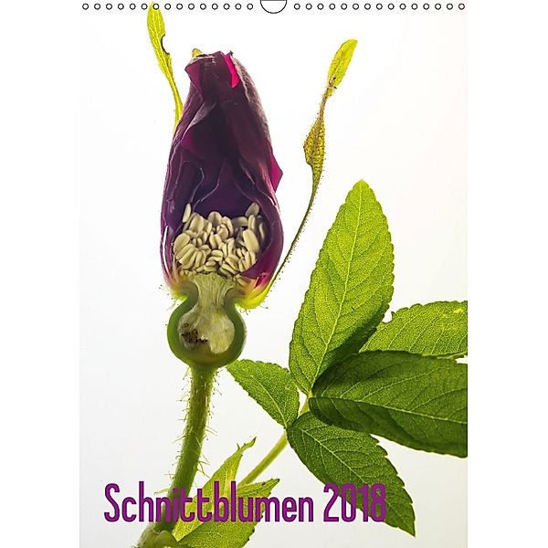 Schnittblumen 2018 (Wandkalender 2018 DIN A3 hoch), Claudia Weber-Gebert