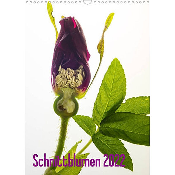 Schnittblumen 2022 (Wandkalender 2022 DIN A3 hoch), Claudia Weber-Gebert