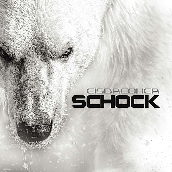 Schock, Eisbrecher