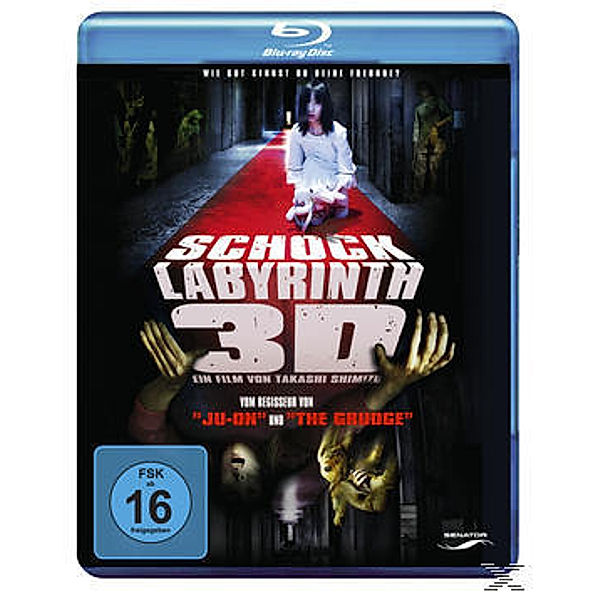 Schock Labyrinth 3D, Daisuke Hosaka