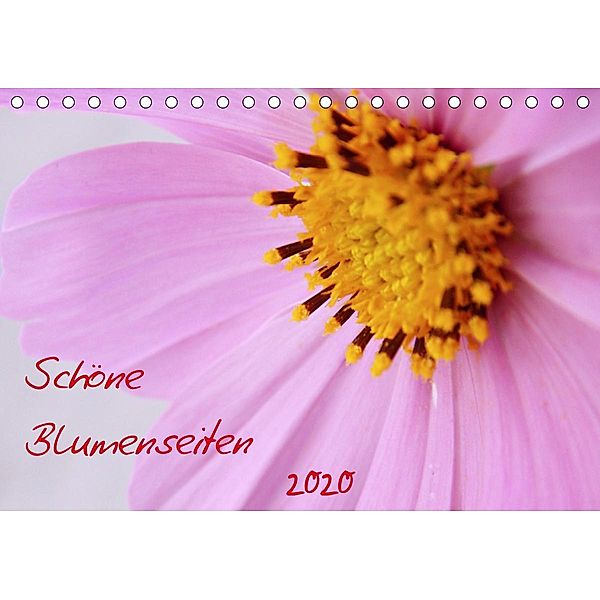 Schöne Blumenseiten (Tischkalender 2020 DIN A5 quer), Verena Mahrhofer