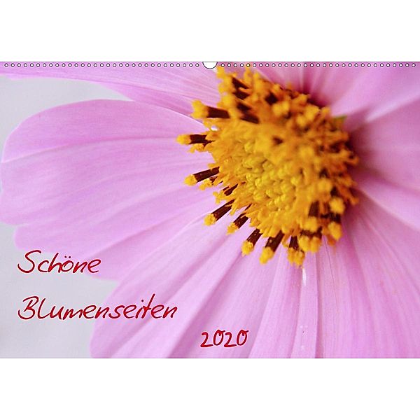 Schöne Blumenseiten (Wandkalender 2020 DIN A2 quer), Verena Mahrhofer