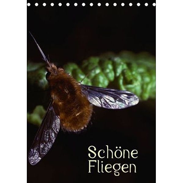 Schöne Fliegen (Tischkalender 2015 DIN A5 hoch), CALVENDO