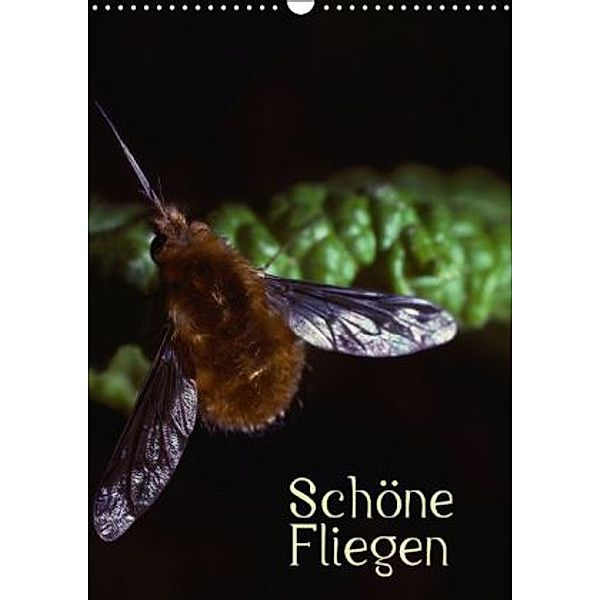 Schöne Fliegen (Wandkalender 2015 DIN A3 hoch), CALVENDO