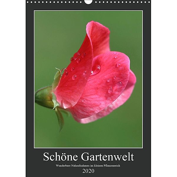 Schöne Gartenwelt (Wandkalender 2020 DIN A3 hoch), Petra Hasselbusch
