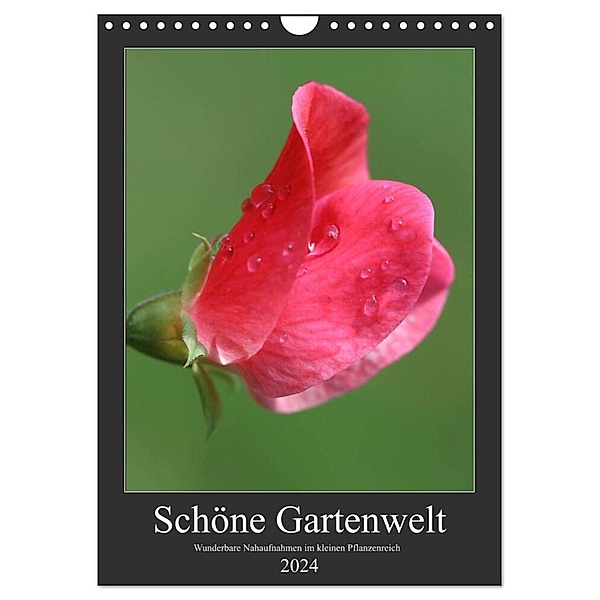 Schöne Gartenwelt (Wandkalender 2024 DIN A4 hoch), CALVENDO Monatskalender, Petra Hasselbusch