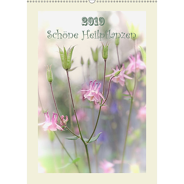 Schöne Heilpflanzen (Wandkalender 2019 DIN A2 hoch), Lidiya Ries