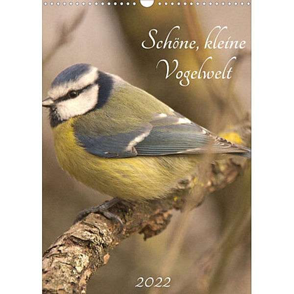 Schöne, kleine Vogelwelt (Wandkalender 2022 DIN A3 hoch), Kevin Andreas Lederle