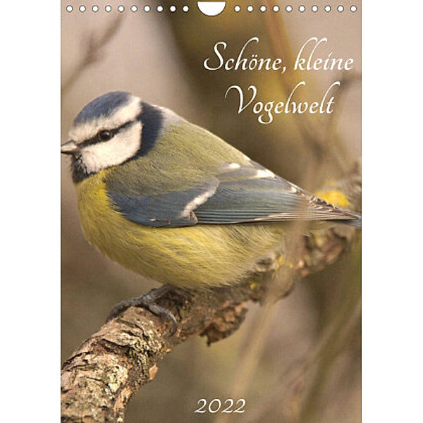 Schöne, kleine Vogelwelt (Wandkalender 2022 DIN A4 hoch), Kevin Andreas Lederle