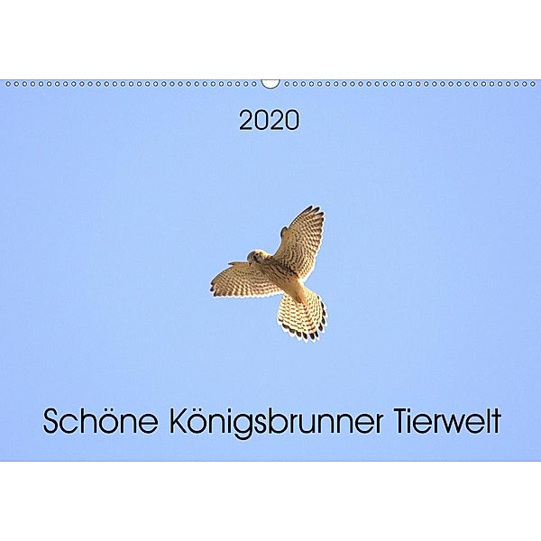 Schöne Königsbrunner Tierwelt (Wandkalender 2020 DIN A2 quer), Kevin Andreas Lederle