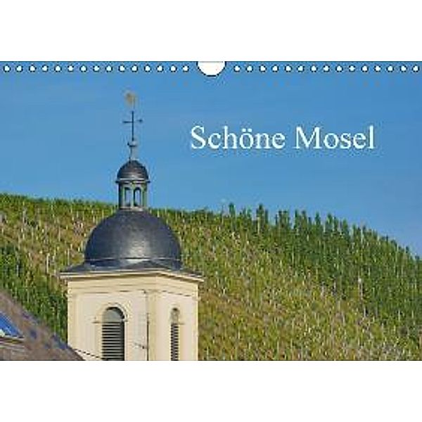 Schöne Mosel (Wandkalender 2016 DIN A4 quer), Ricarda Balistreri