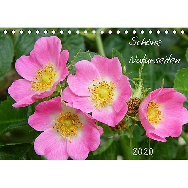 Schöne Naturseiten (Tischkalender 2020 DIN A5 quer), Verena Mahrhofer