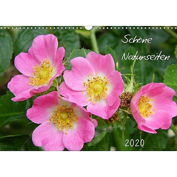 Schöne Naturseiten (Wandkalender 2020 DIN A3 quer), Verena Mahrhofer