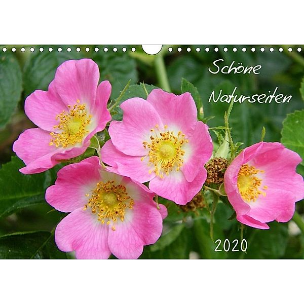 Schöne Naturseiten (Wandkalender 2020 DIN A4 quer), Verena Mahrhofer