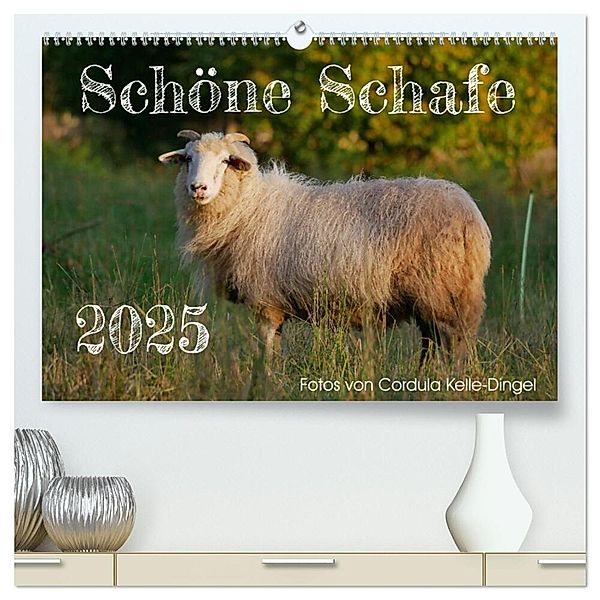Schöne Schafe (hochwertiger Premium Wandkalender 2025 DIN A2 quer), Kunstdruck in Hochglanz, Calvendo, Cordula Kelle-Dingel