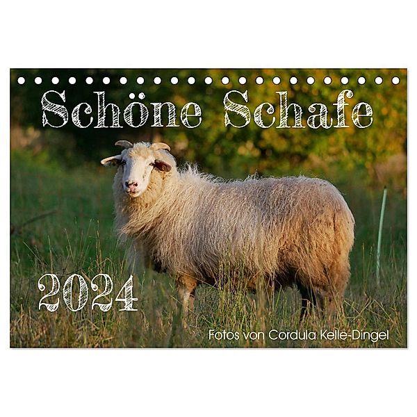 Schöne Schafe (Tischkalender 2024 DIN A5 quer), CALVENDO Monatskalender, Calvendo, Cordula Kelle-Dingel