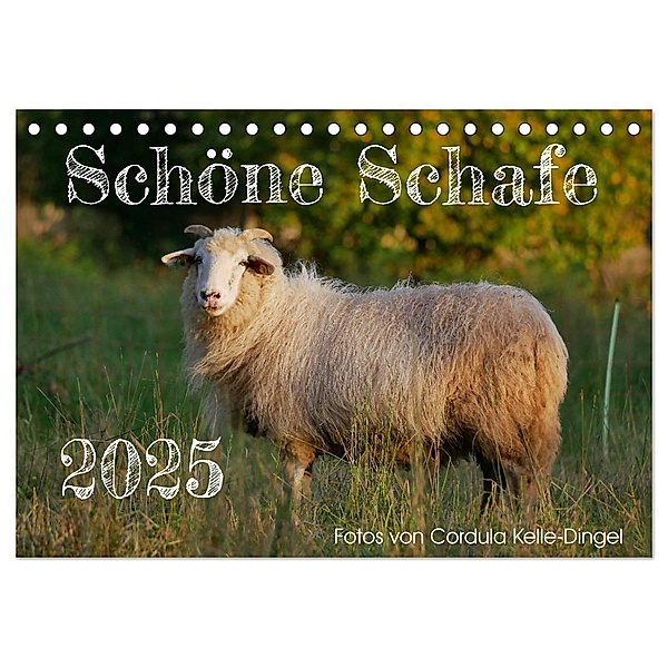 Schöne Schafe (Tischkalender 2025 DIN A5 quer), CALVENDO Monatskalender, Calvendo, Cordula Kelle-Dingel