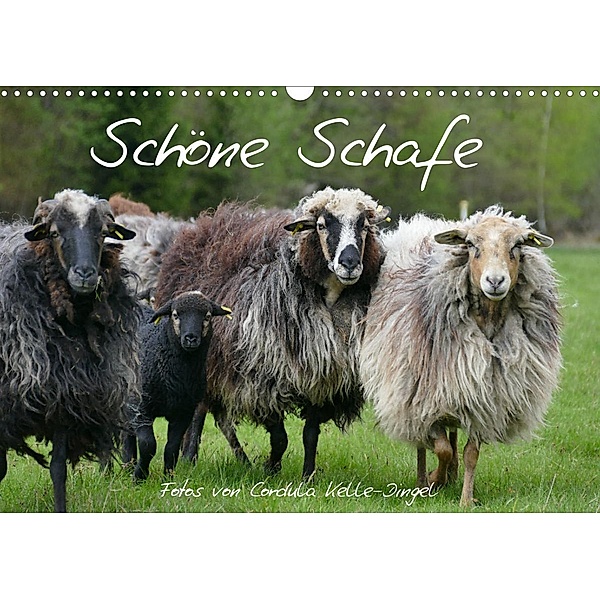 Schöne Schafe (Wandkalender 2023 DIN A3 quer), Cordula Kelle-Dingel