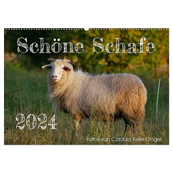 Schöne Schafe (Wandkalender 2024 DIN A2 quer), CALVENDO Monatskalender, Cordula Kelle-Dingel
