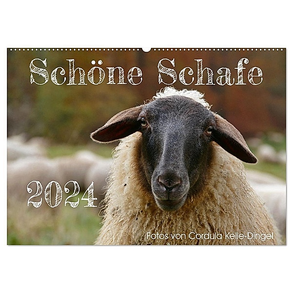 Schöne Schafe (Wandkalender 2024 DIN A2 quer), CALVENDO Monatskalender, Cordula Kelle-Dingel
