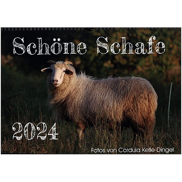 Schöne Schafe (Wandkalender 2024 DIN A3 quer), CALVENDO Monatskalender, Cordula Kelle-Dingel