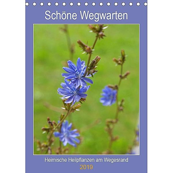 Schöne Wegwarten. Heimische Heilpflanzen am Wegesrand (Tischkalender 2019 DIN A5 hoch), Hanna Wagner