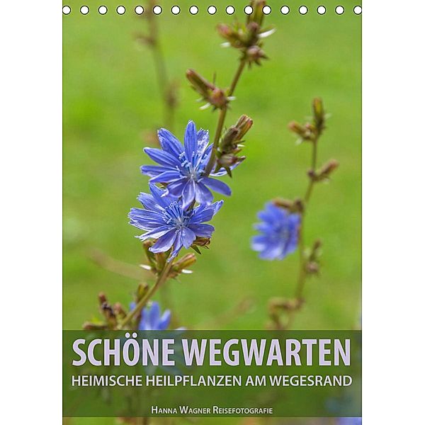 Schöne Wegwarten. Heimische Heilpflanzen am Wegesrand (Tischkalender 2021 DIN A5 hoch), Hanna Wagner