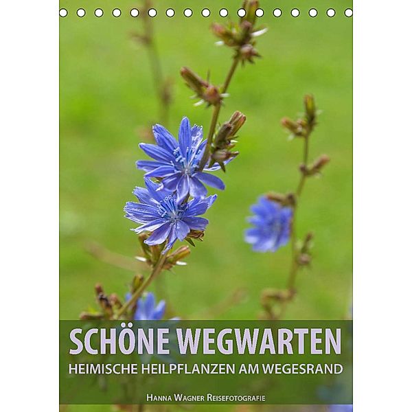 Schöne Wegwarten. Heimische Heilpflanzen am Wegesrand (Tischkalender 2023 DIN A5 hoch), Hanna Wagner